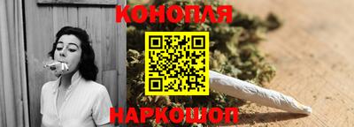 индика Гусь-Хрустальный