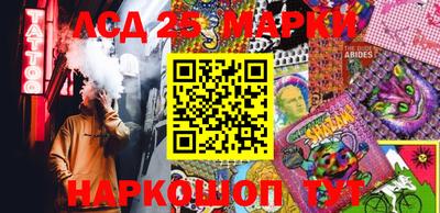 индика Гусь-Хрустальный