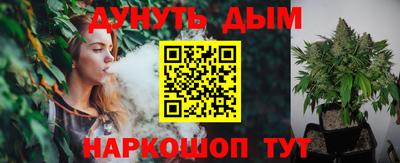 индика Гусь-Хрустальный