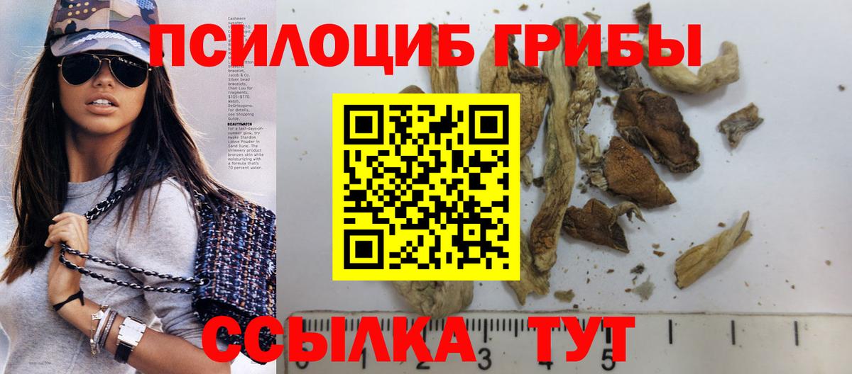 Нижний Новгород  Галлюциногенные грибы MAGIC MUSHROOMS  Вход с VPN 